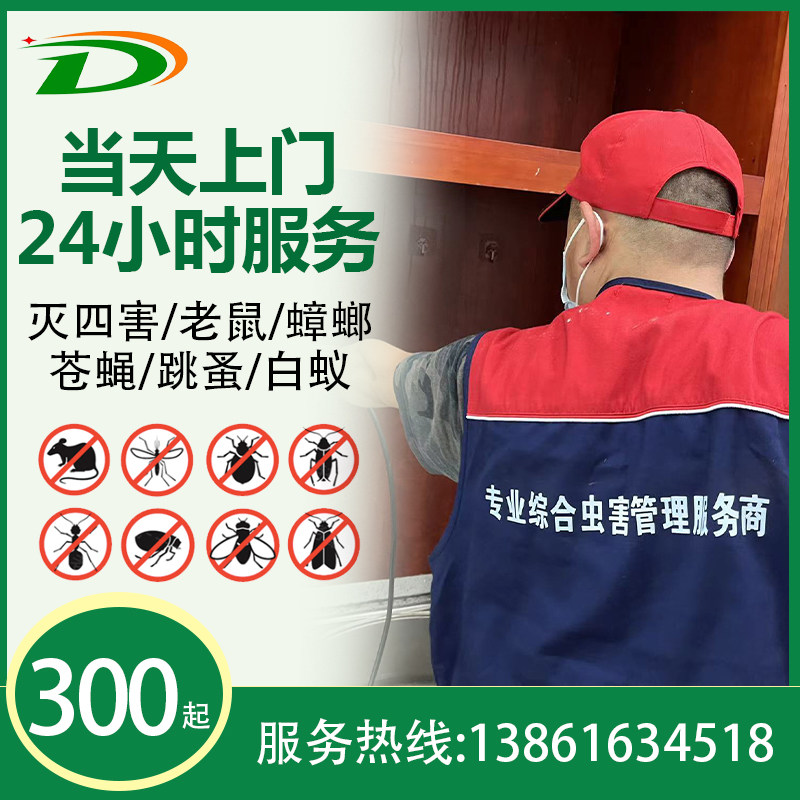 常州上门灭老鼠蟑螂白蚁消杀无锡