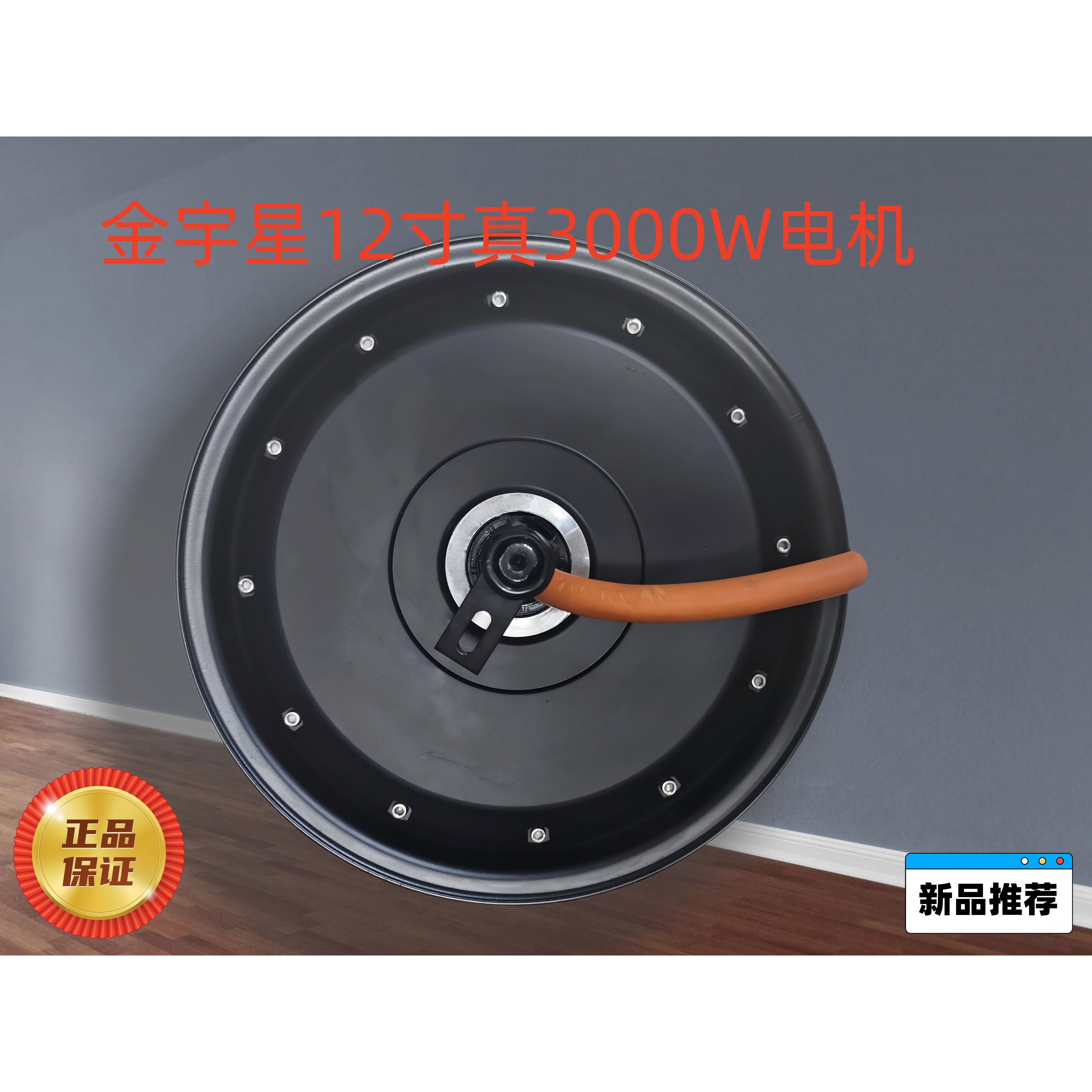 金宇星3000W12寸72V省电电机图片