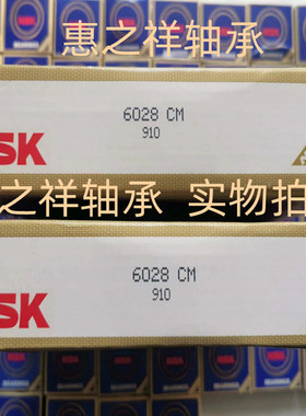 进口NSK轴承 NSK 6028CM  140*210*33