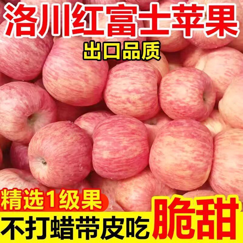 陕西洛川脆甜苹果产地直发顺丰