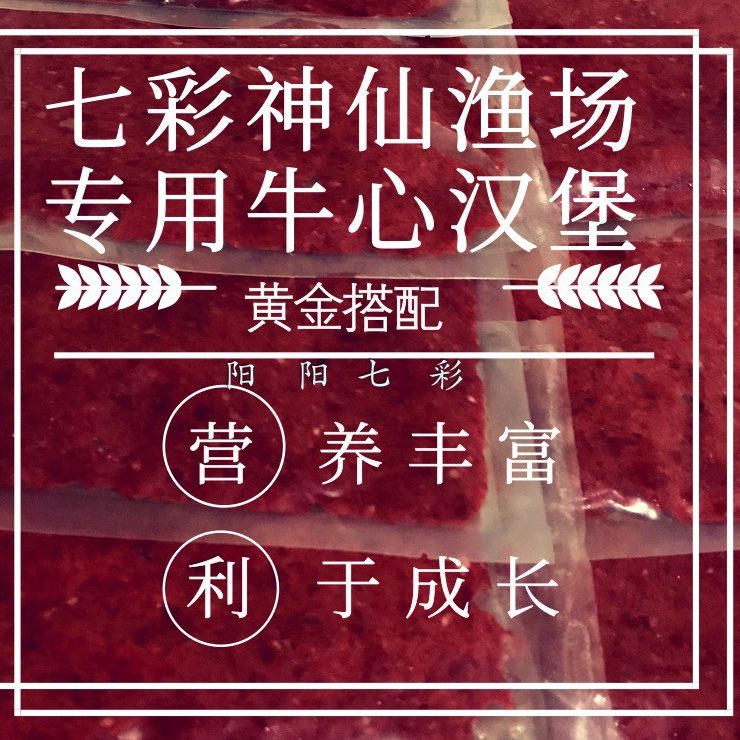 包邮七彩神仙鱼渔场配方汉堡饲料增红黄艳诱食营养丰富不浑水驯食