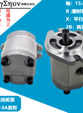 Dekema高压齿轮泵HGP-3A-F6/8/11/13/14/17/19/23/25/28/30-RX2B