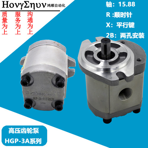 Dekema高压齿轮泵HGP-3A-F6/8/11/13/14/17/19/23/25/28/30-RX2B