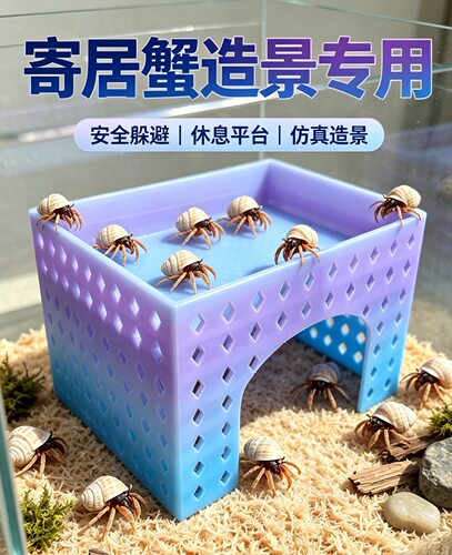 寄居蟹网格攀爬躲避屋喂食盆寄居蟹二层平台彩色网格板寄居蟹爬架
