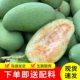 现摘新鲜生吃酸芒果青芒果当季 包邮 水果四季 芒象牙芒酸嘢芒果整箱