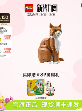 【重磅新品】乐高官方旗舰店21376橙色的猫橘猫积木玩具礼物摆件