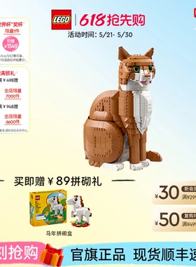 乐高官方旗舰店正品21376橙色的猫橘猫拼搭积木玩具摆件生日礼物