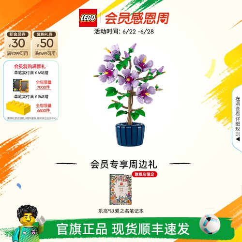 乐高10372芙蓉积木玩具