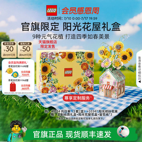 乐高阳光花屋礼盒永生花积木礼物