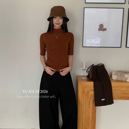 元熙-26年秋上新半高领纯色显瘦修身打底衫(不含下装)269042