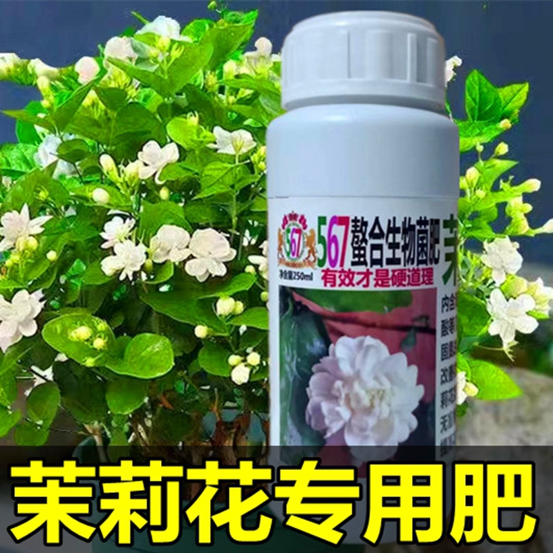 茉莉花专用肥栀子营养液叶面肥567螯合生物菌肥促开花酸性防黄叶