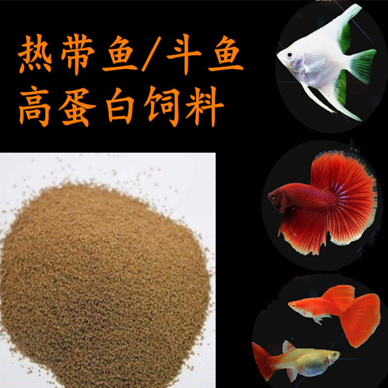 泰国斗鱼中国斗鱼热带鱼冷水鱼饲料渔场饲料增色促生长营养丰富在类目 宠物/宠物食品及用品, 水族世界, 鱼中 - 来自Buy2taobao.com提供专业的淘宝代购服务