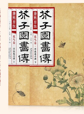 芥子园画传（康熙彩色原版）全套13任意选购 梅谱菊谱兰谱竹谱山石谱画学浅说翎毛花卉上下草虫花卉上下树谱人物屋宇谱摹仿名家画
