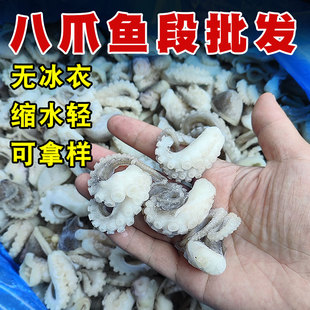 章鱼段商用去脏鲜活冷冻20斤饭店酒店炒菜食材新鲜迷你八爪鱼段