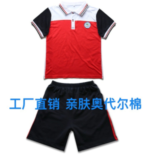 佛山市南海区里水中心小学校服短袖纯棉红白条校裤夏季薄款长裤