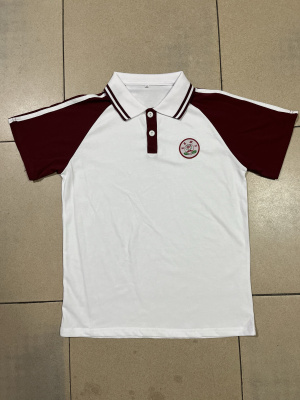 佛山市小学校服短袖polo衫班服夏季薄款江洲育萃学校