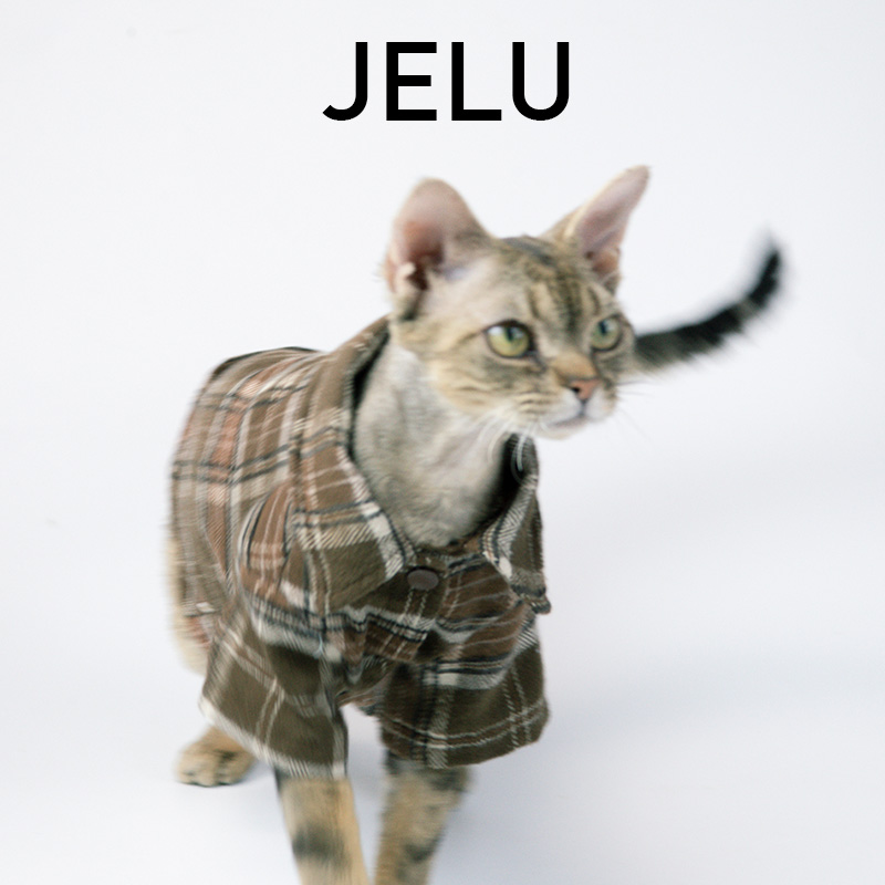 JELU 吉鹿 无毛猫衣服斯芬克斯德文衬衫短袖T恤潮牌酷夏天亲肤