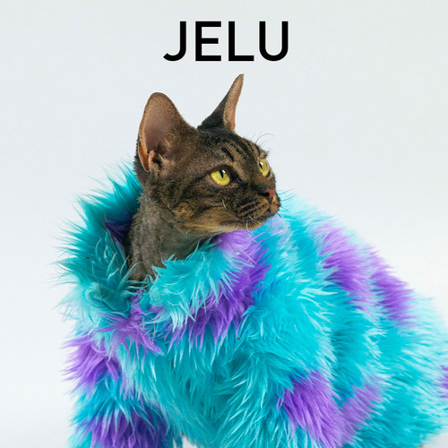 JELU吉鹿保暖加厚苏利文色毛大衣