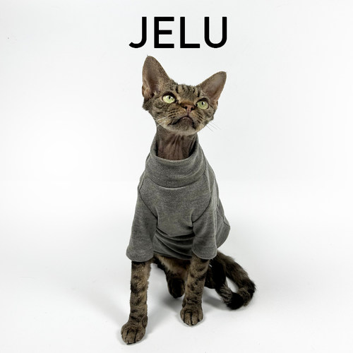 JELU 吉鹿 秋冬无毛猫衣服斯芬克斯德文卫衣绵羊绒加厚保暖亲肤