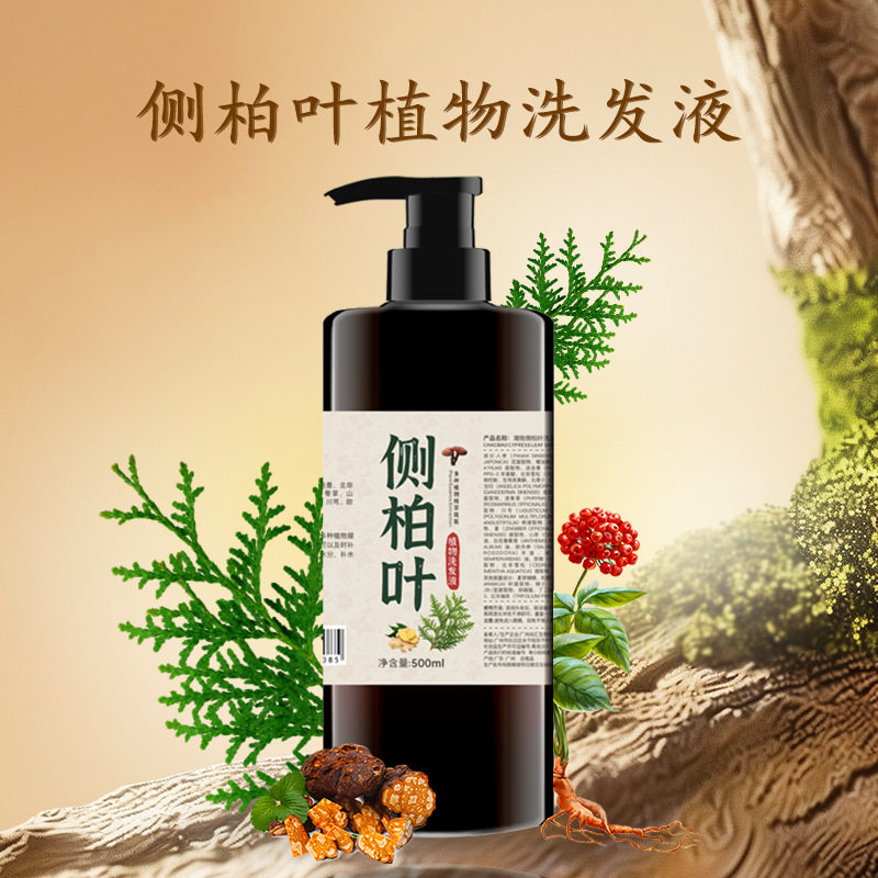 纯配方代熬侧柏叶皂角洗发水植物养发生姜控油去屑止痒潮抱洗发水 - 实物图
