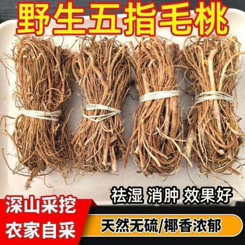 五指毛桃炖鸡排骨泰顺煲汤材料菌菇汤包食材中草药药材滋补品干货