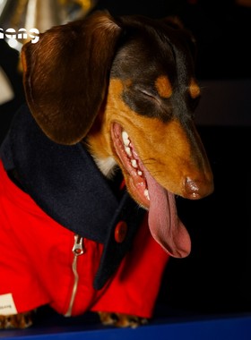 Chang|冠军夹克|CHAMPION JACKET|冠军红|腊肠犬衣服