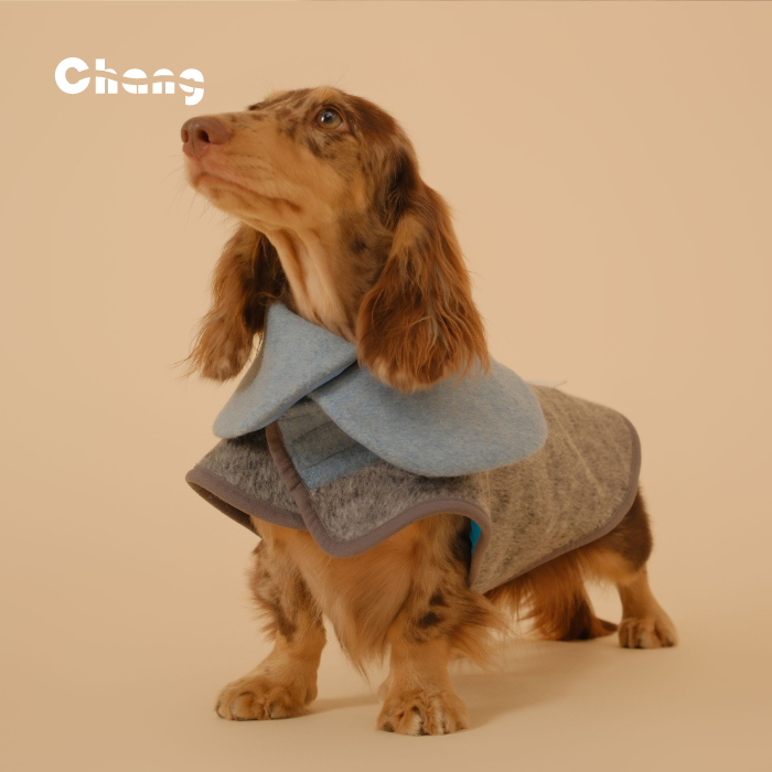 Chang|温室花朵羊毛大衣|腊肠犬衣服-封面