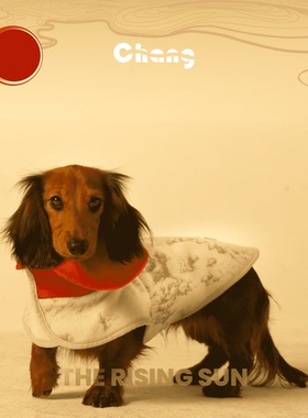 Chang|温室花朵羊毛大衣|《旭日》|限定色|腊肠犬衣服