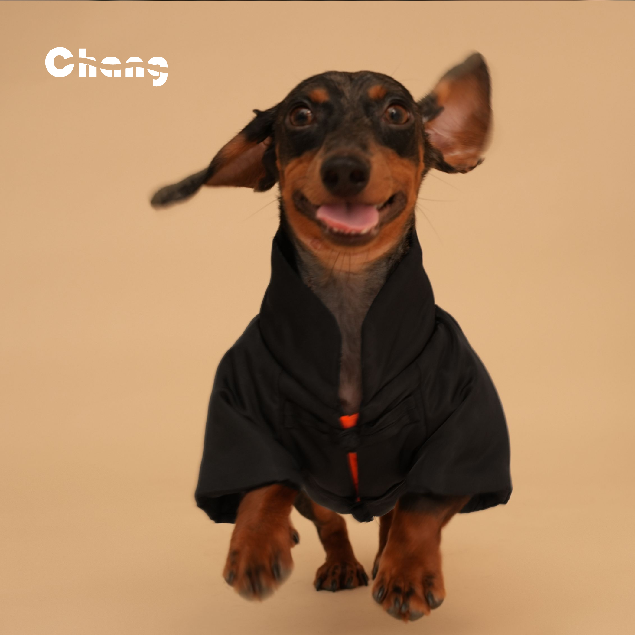 Chang|长大师唐装棉服|M狗宠物服装/雨衣