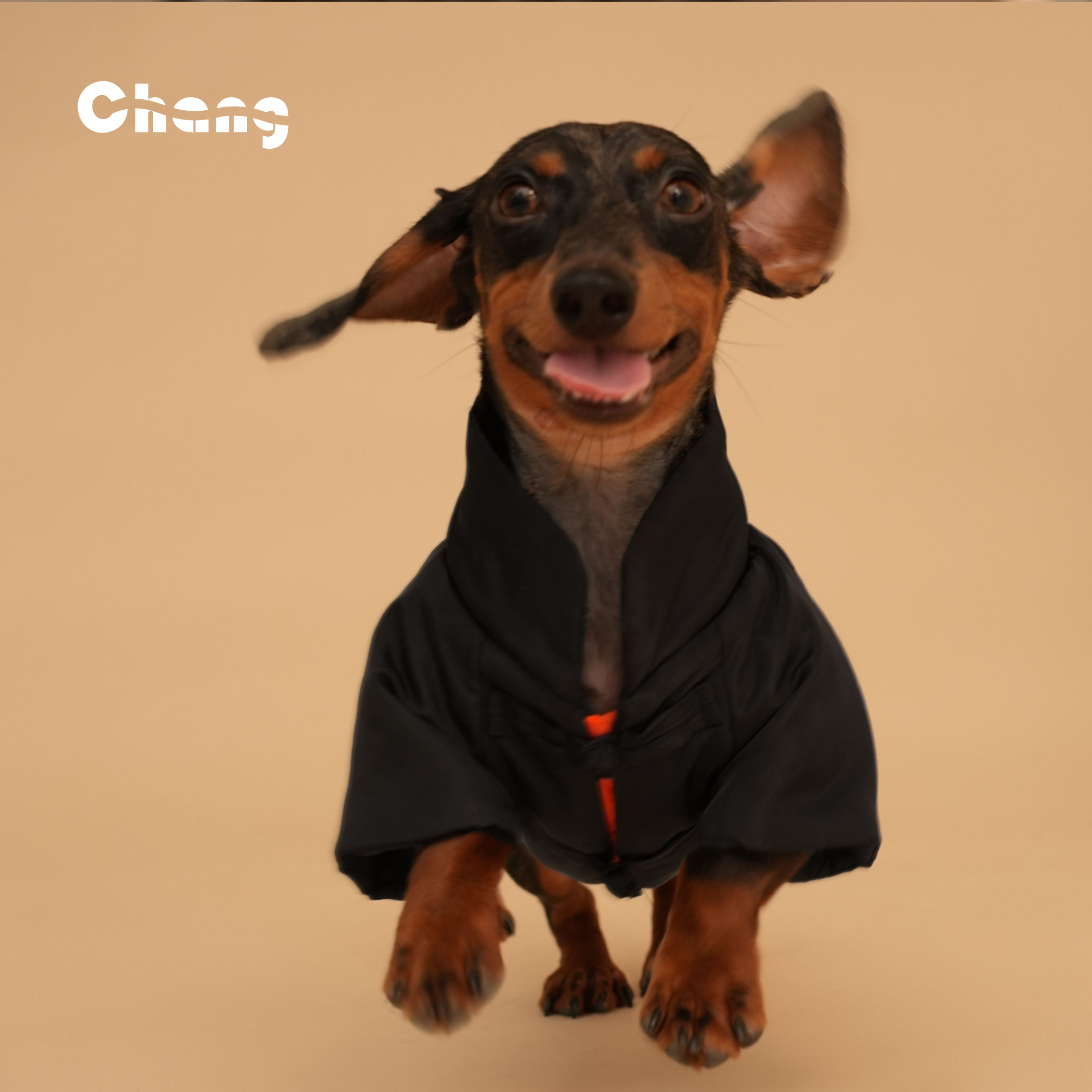 Chang|长大师唐装棉服|腊肠犬衣服