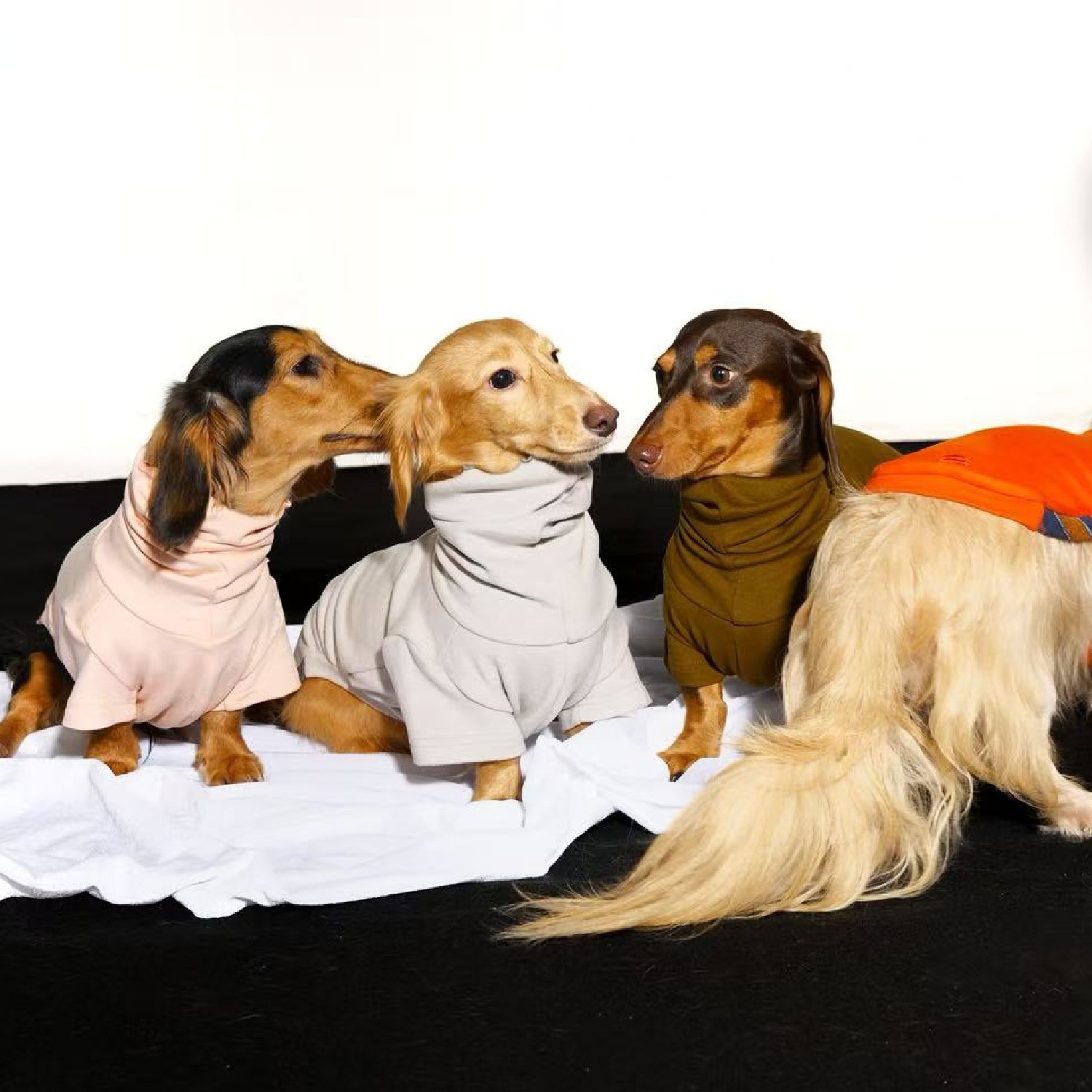 Chang|妈手打底衫 3.0|