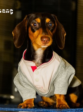 Chang|网球卫衣|TENNIS YOUTH|腊肠犬宠物衣服