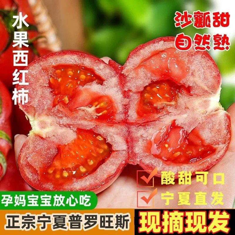 正宗宁夏莲湖普罗旺斯西红柿沙瓤水果西红柿新鲜番茄老幼皆宜水果