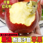 正宗宁夏红元 帅星红星苹果老人苹果老幼刮泥新鲜苹果香甜老树苹果
