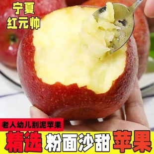 正宗宁夏红元帅星红星苹果老人苹果老幼刮泥新鲜苹果香甜老树苹果
