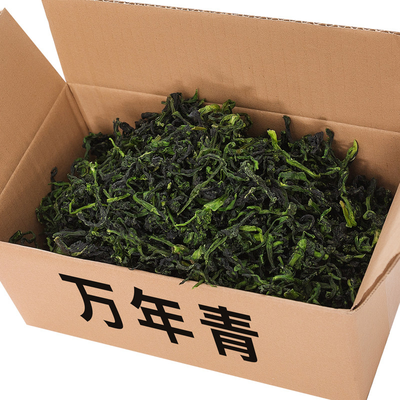 新货农家鲜嫩油菜干小青菜干