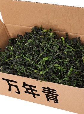 新货农家鲜嫩油菜干小青菜干