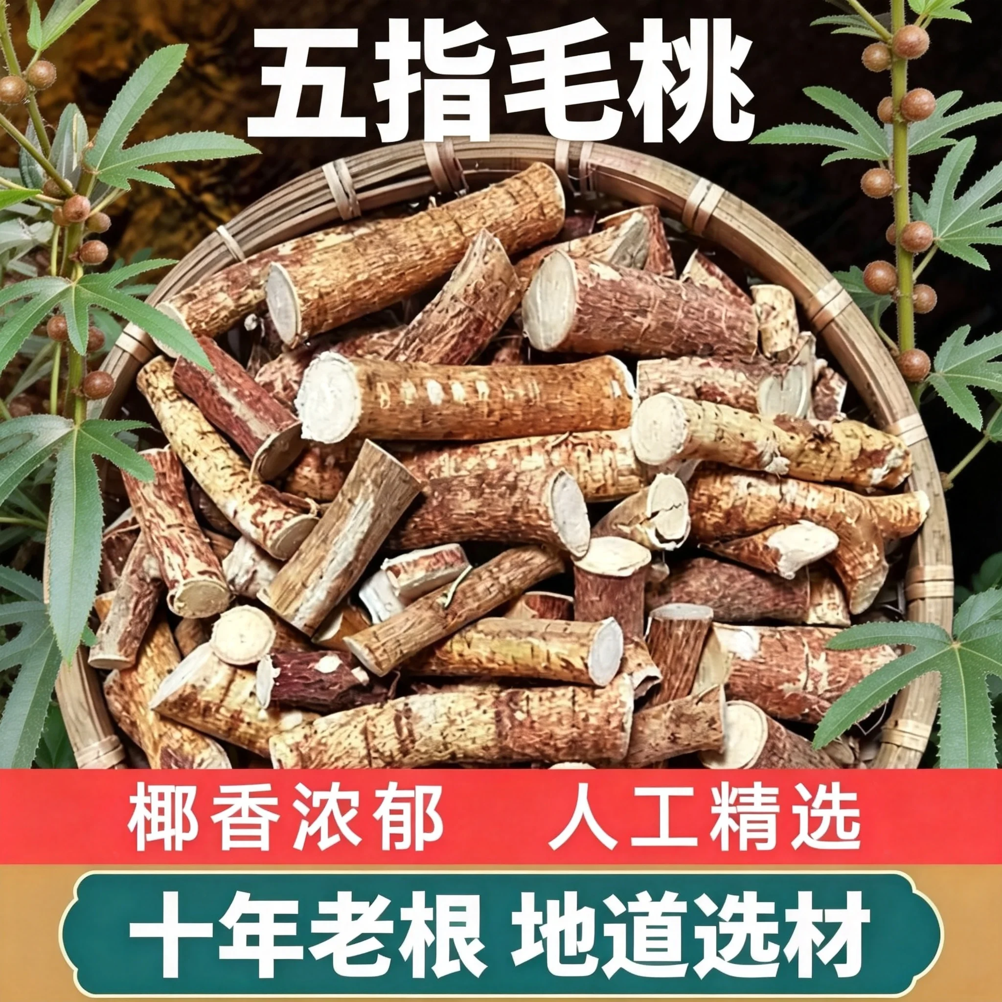 五指毛桃中药材中段天然椰香浓煲汤料土茯苓特级新鲜农家干货野生
