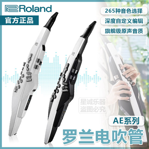 Roland罗兰电吹管乐器娱乐初学