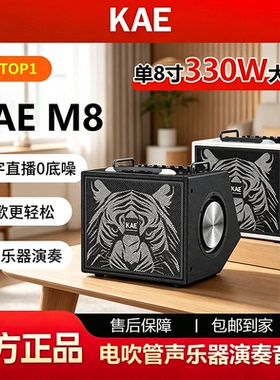 KAE楷尔M8音箱电吹管声乐器音箱户外路演舞台电吉他弹唱K歌音响