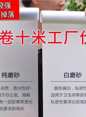 窗花纸磨砂玻璃贴防走光开灯不透人玻璃贴卫生间贴纸玻璃门防窥膜