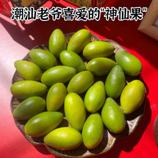 现摘现发广东特产潮汕新鲜青橄榄果孕妇水果生吃煲汤非灵峰甜橄榄