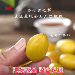 广东新鲜水果潮汕特产金灶吉之祥正宗金玉三捻橄榄老树三棱礼盒装