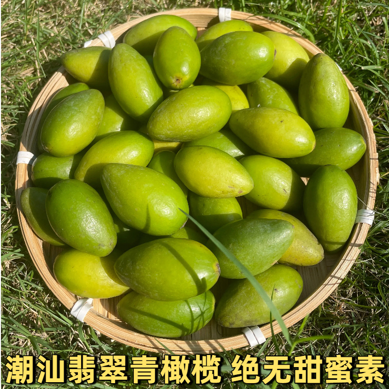 应季水果潮汕特产金灶翡翠青橄榄