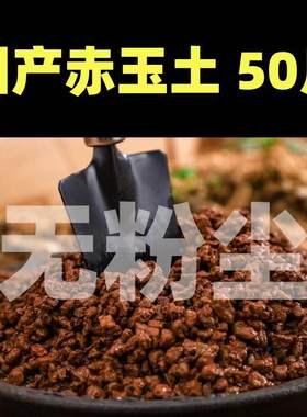 盆景专用生桩颗粒土柏树多肉兰花