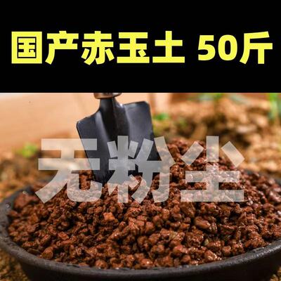 盆景专用生桩颗粒土柏树多肉兰花