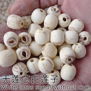 湘潭特产 湘莲子 红莲 白莲 荷叶 莲子芯 精选干燥