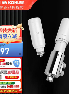 科勒智能盖净水过滤器滤芯自来水净化器净化套装21038/22760T