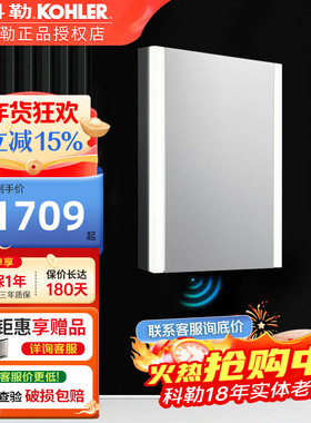 科勒智能镜子触摸屏开灯化妆镜浴室镜子家用镜柜组合挂墙式30550T