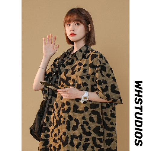 星座409-3 XZ4093409-3-2208